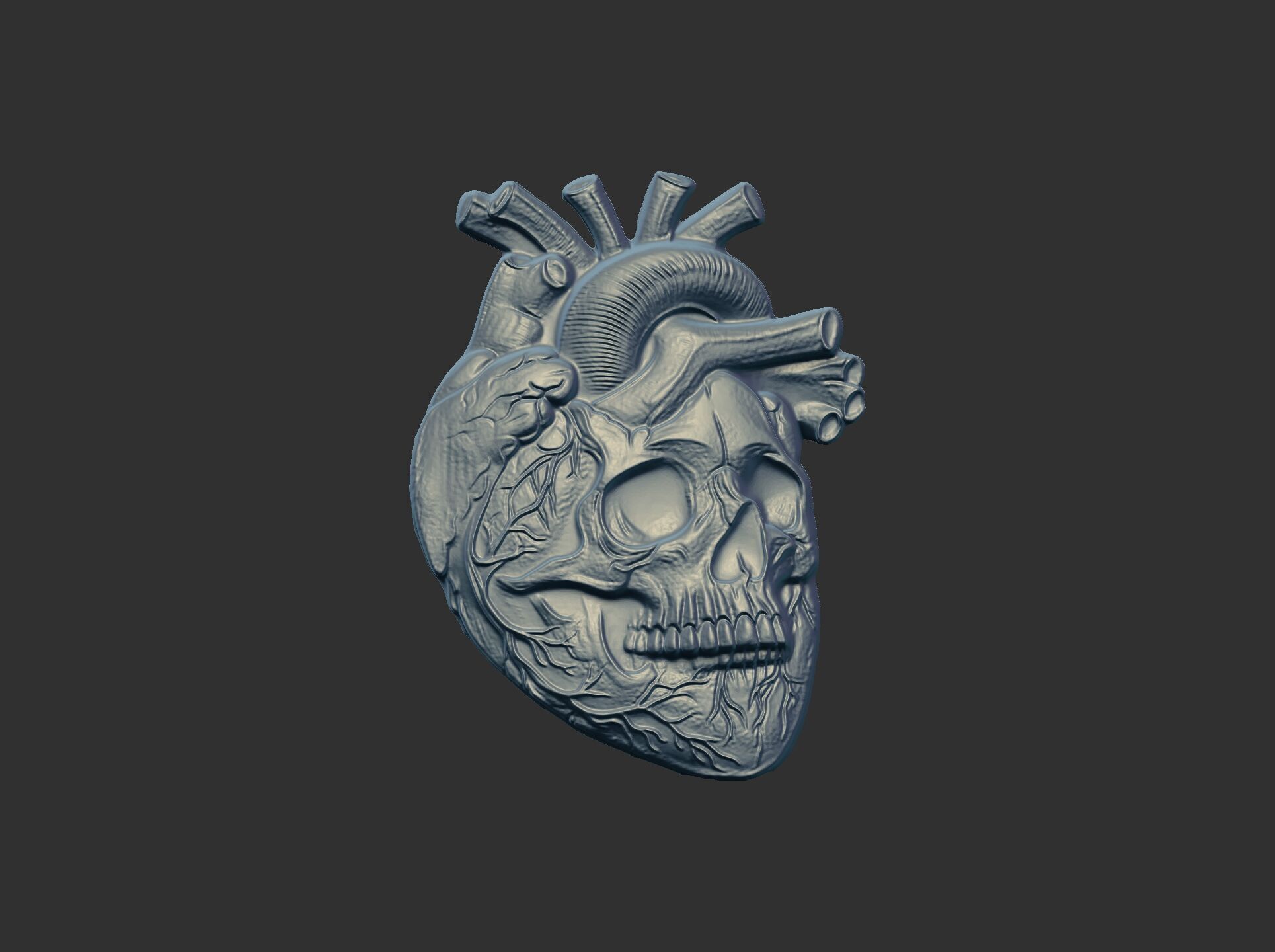 Anatomical Heart Skull 3D Model for CNC Carving and 3D Printing 3D print model_10