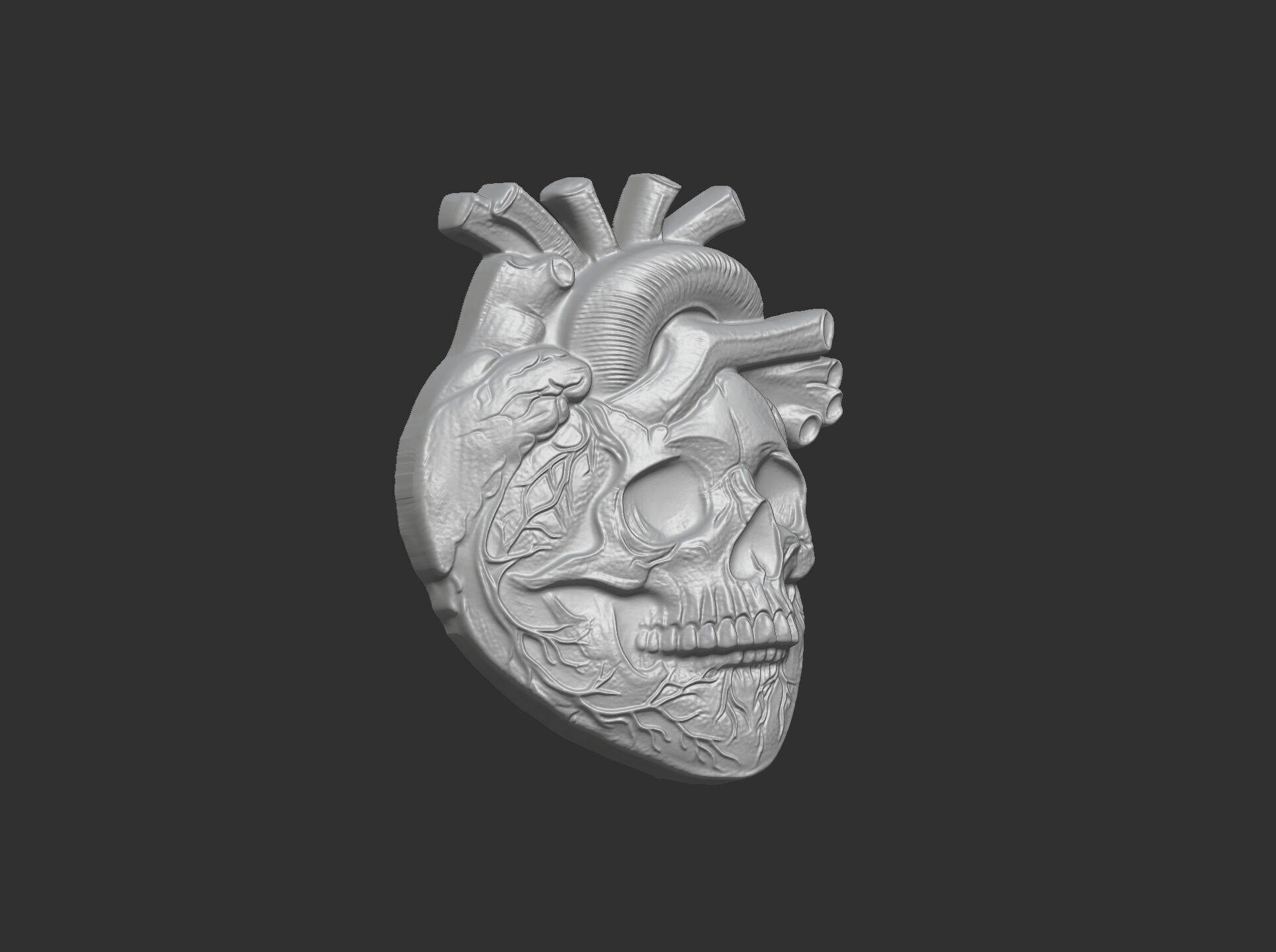 Anatomical Heart Skull 3D Model for CNC Carving and 3D Printing 3D print model_24