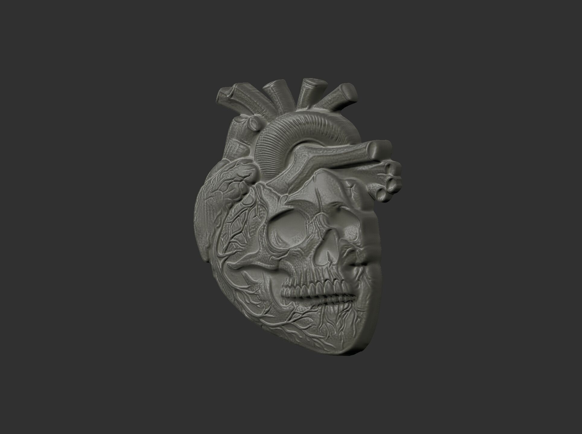 Anatomical Heart Skull 3D Model for CNC Carving and 3D Printing 3D print model_8