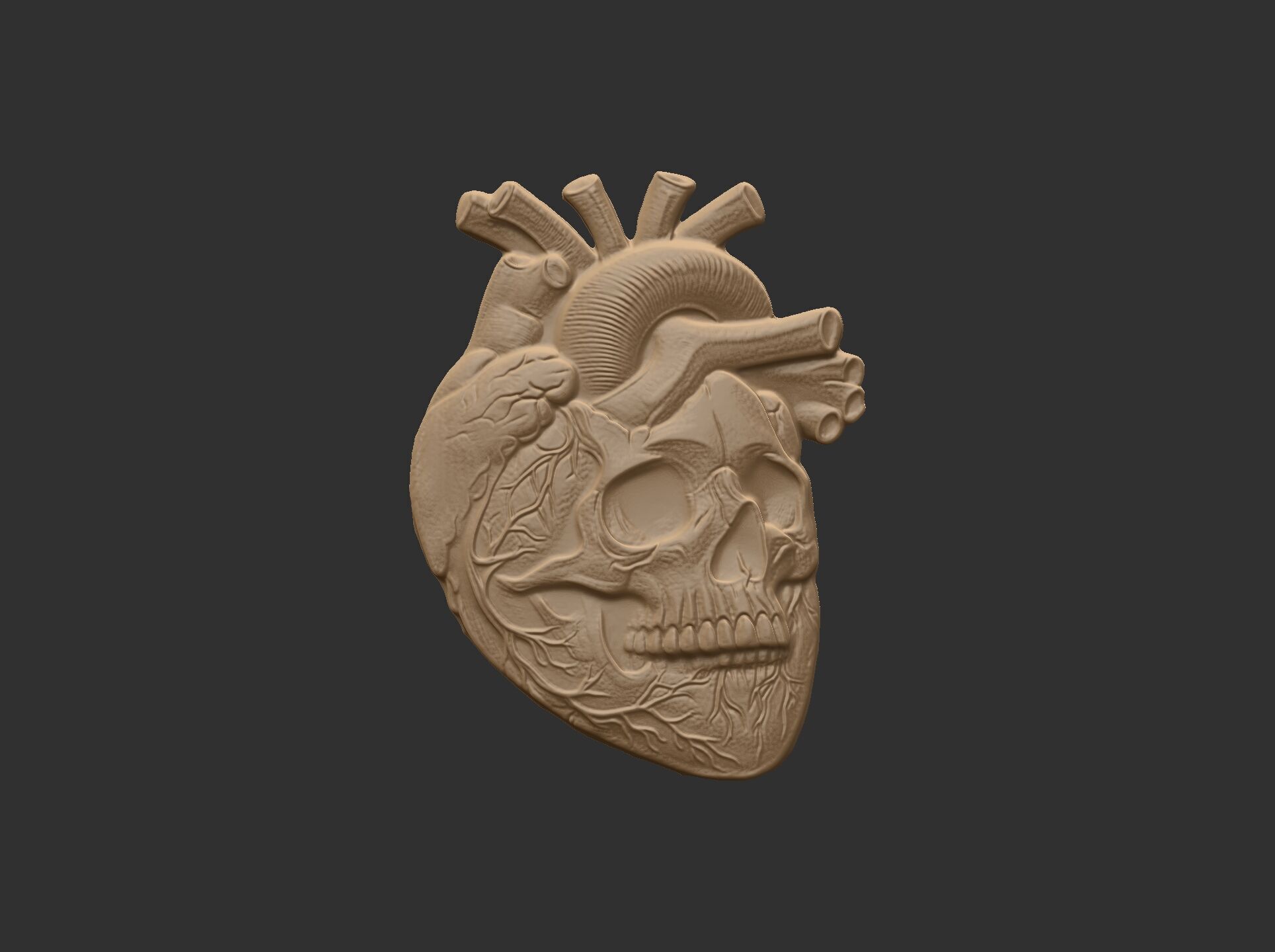 Anatomical Heart Skull 3D Model for CNC Carving and 3D Printing 3D print model_12