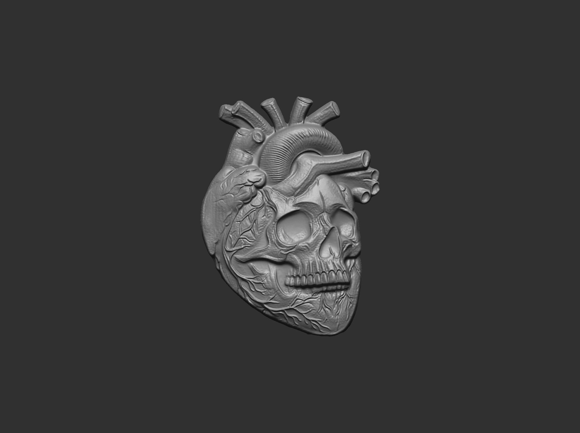 Anatomical Heart Skull 3D Model for CNC Carving and 3D Printing 3D print model_22
