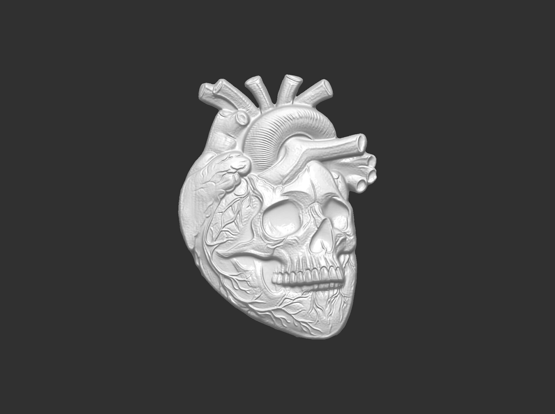 Anatomical Heart Skull 3D Model for CNC Carving and 3D Printing 3D print model_26