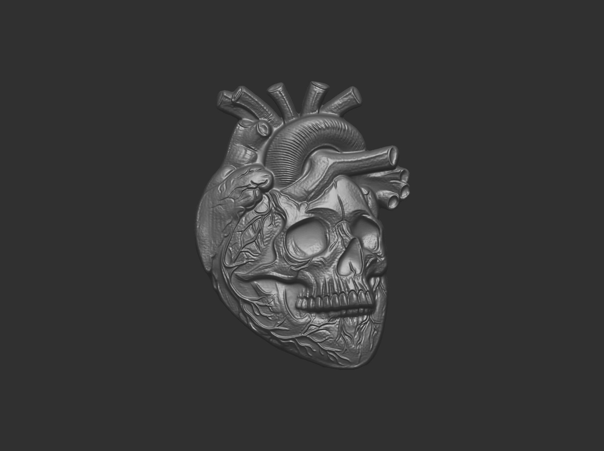Anatomical Heart Skull 3D Model for CNC Carving and 3D Printing 3D print model_27
