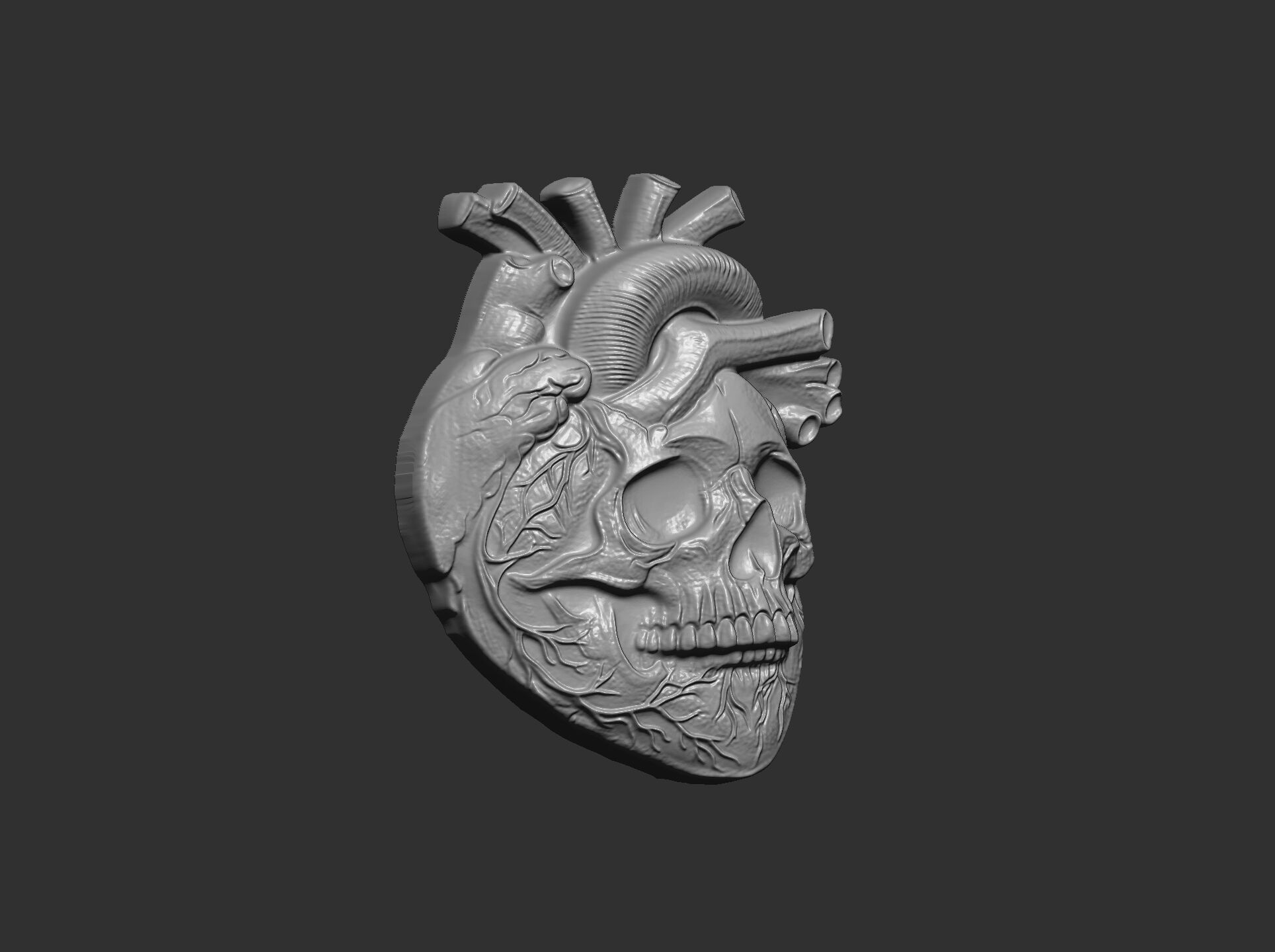 Anatomical Heart Skull 3D Model for CNC Carving and 3D Printing 3D print model_7