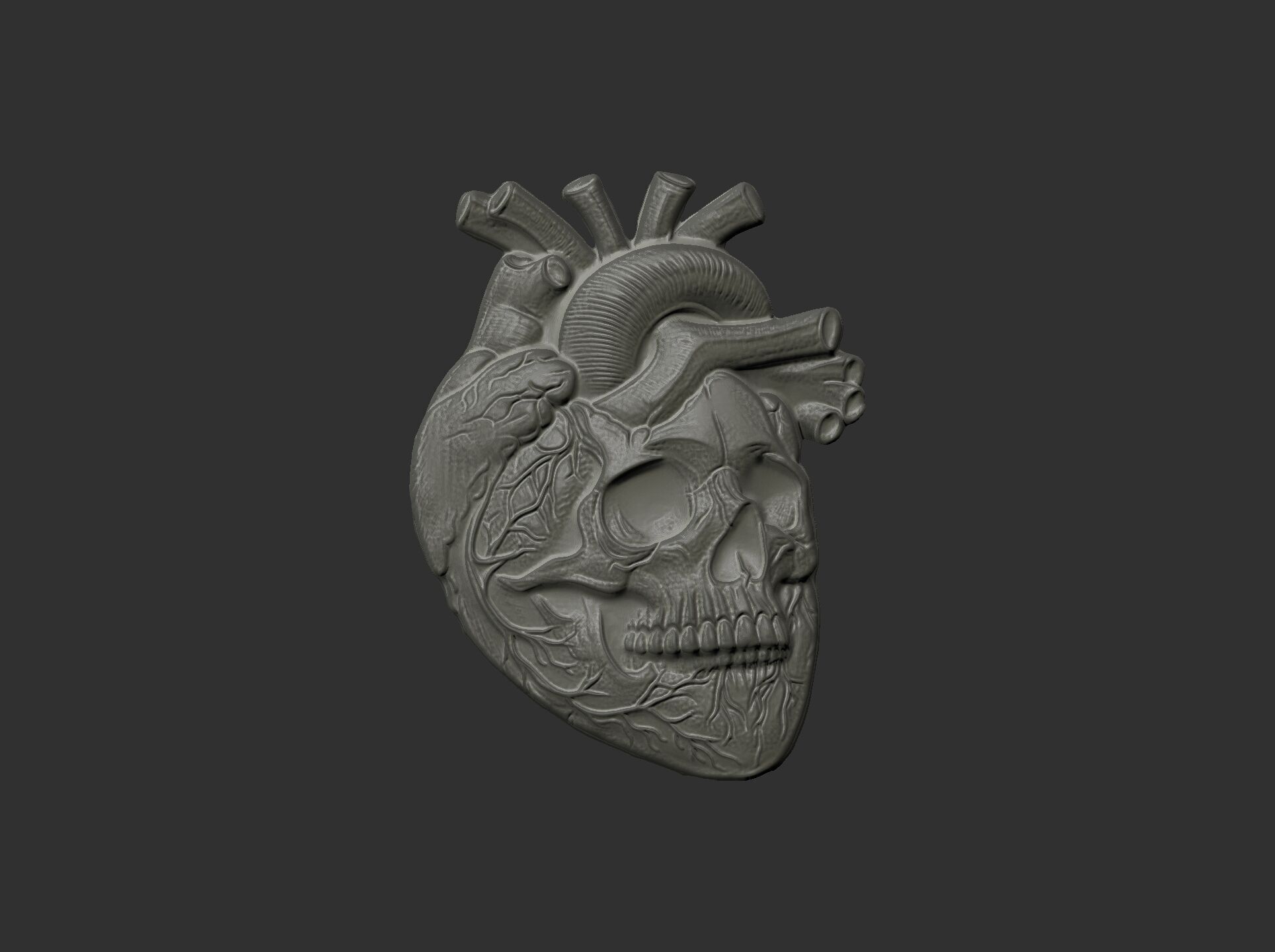 Anatomical Heart Skull 3D Model for CNC Carving and 3D Printing 3D print model_11
