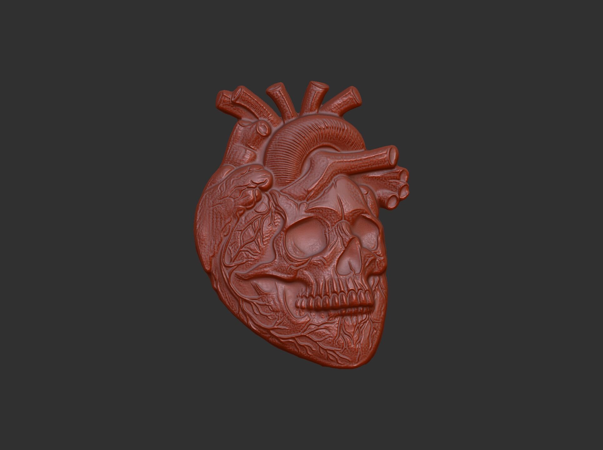 Anatomical Heart Skull 3D Model for CNC Carving and 3D Printing 3D print model_19
