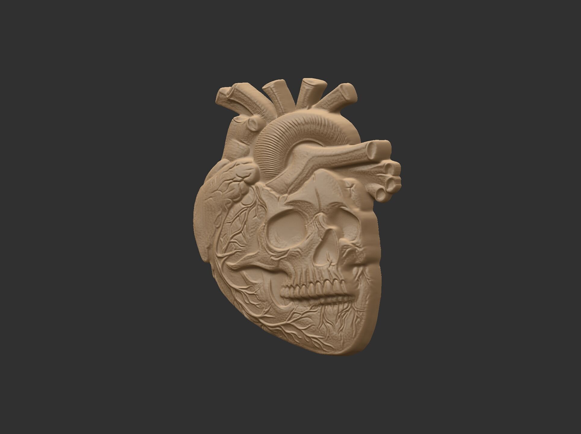Anatomical Heart Skull 3D Model for CNC Carving and 3D Printing 3D print model_6