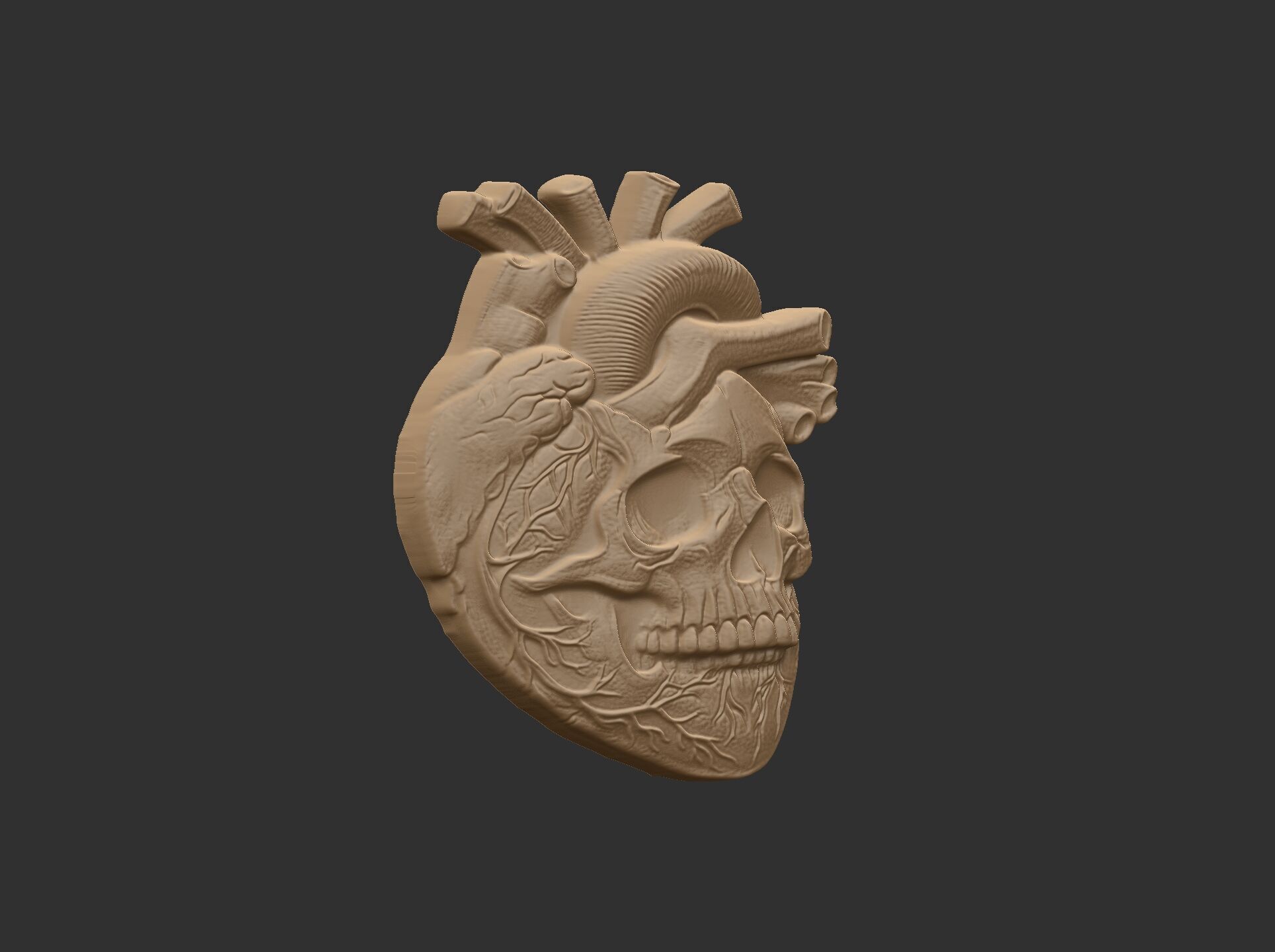 Anatomical Heart Skull 3D Model for CNC Carving and 3D Printing 3D print model_13