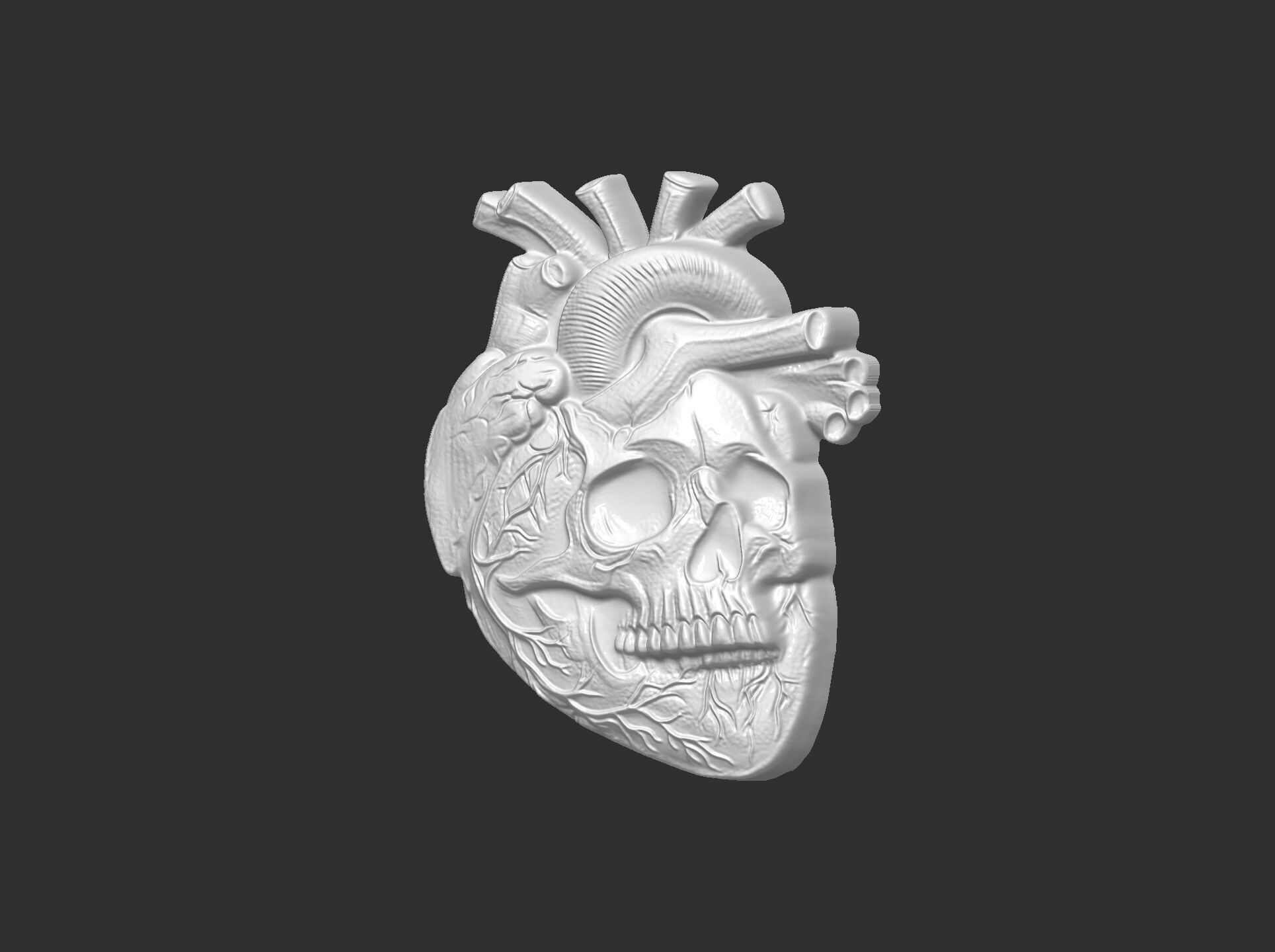 Anatomical Heart Skull 3D Model for CNC Carving and 3D Printing 3D print model_4