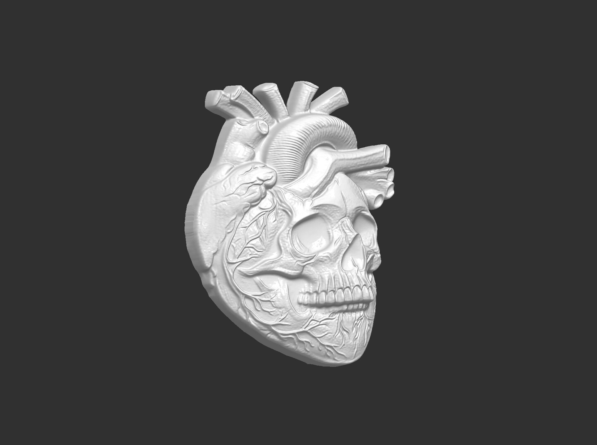 Anatomical Heart Skull 3D Model for CNC Carving and 3D Printing 3D print model_23
