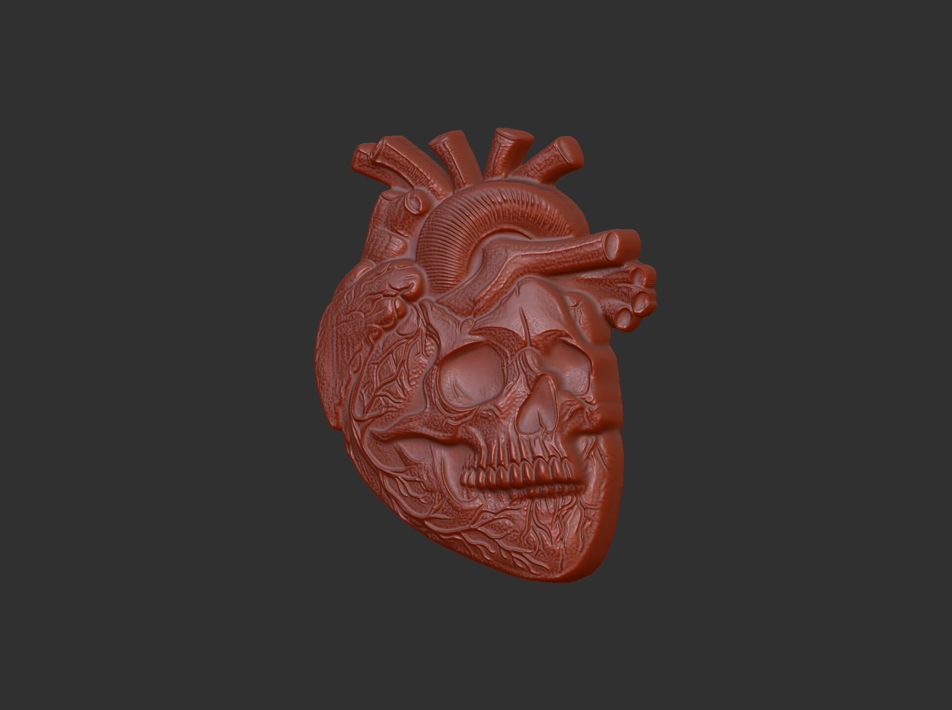 Anatomical Heart Skull 3D Model for CNC Carving and 3D Printing 3D print model_18