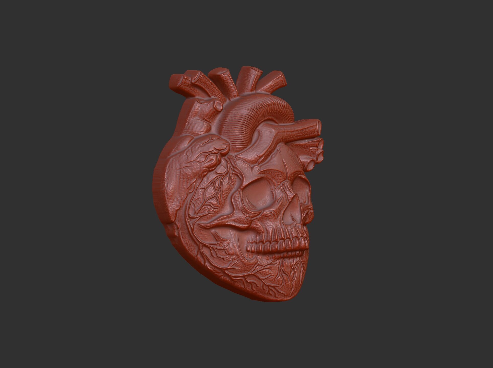 Anatomical Heart Skull 3D Model for CNC Carving and 3D Printing 3D print model_17