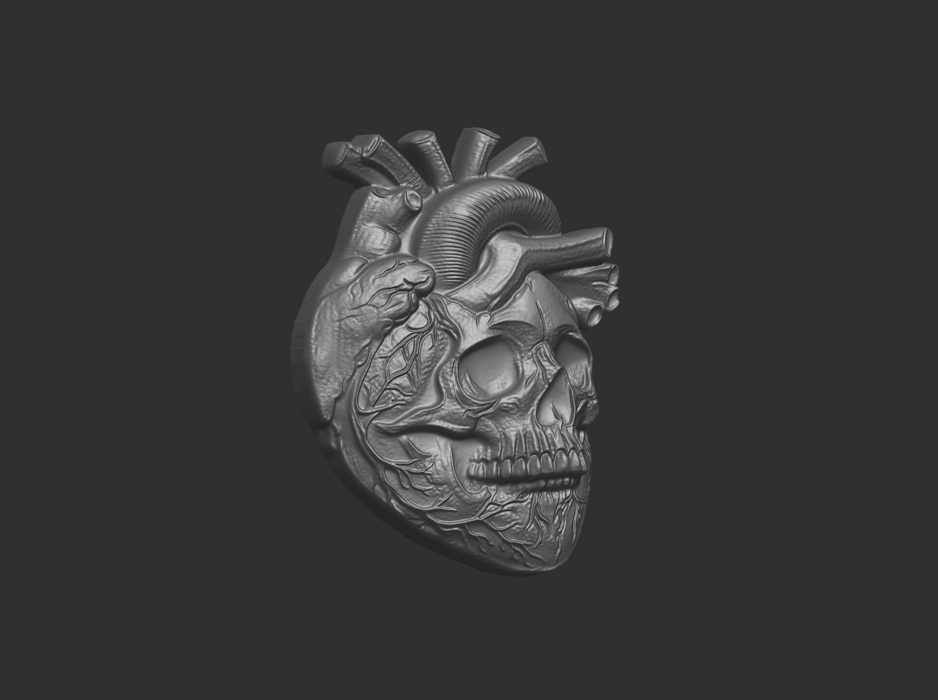Anatomical Heart Skull 3D Model for CNC Carving and 3D Printing 3D print model_14