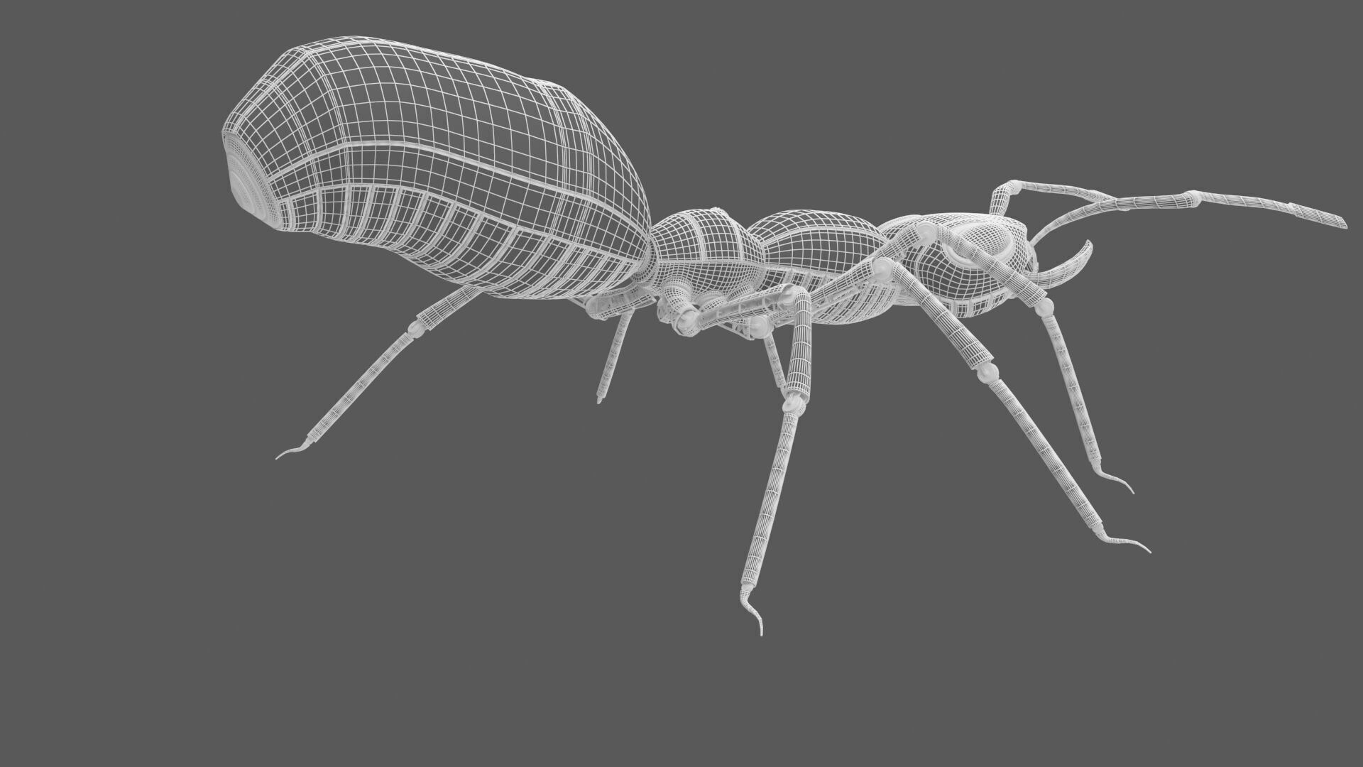 Black robot ant 3D model_15