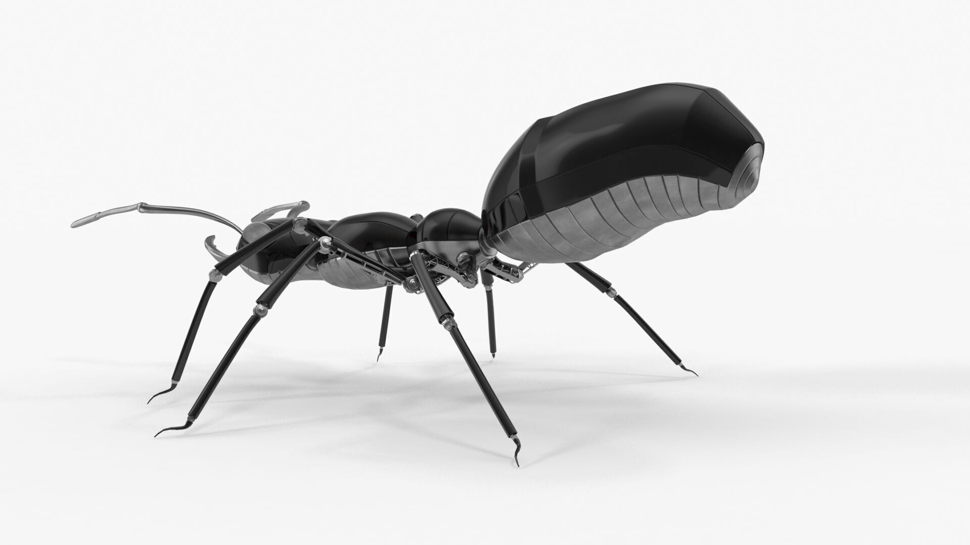 Black robot ant 3D model_6