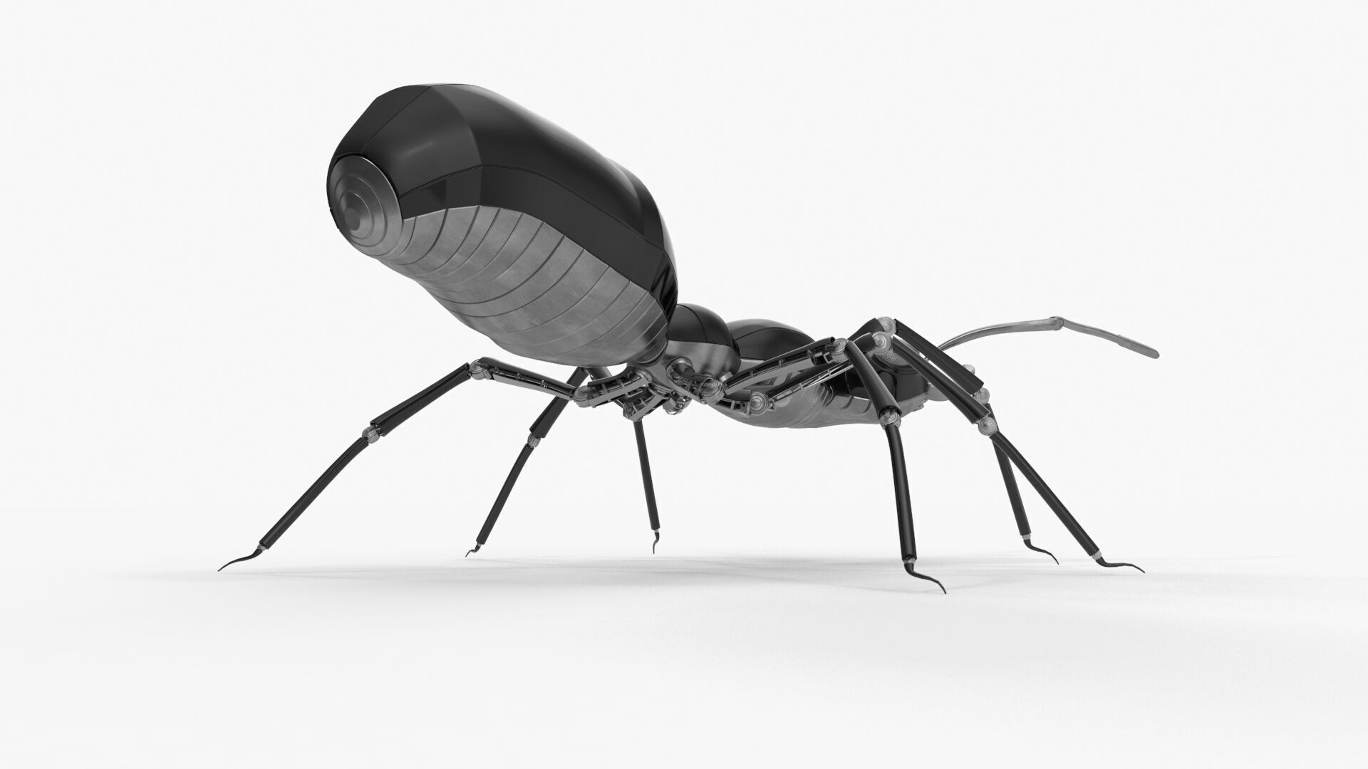 Black robot ant 3D model_5