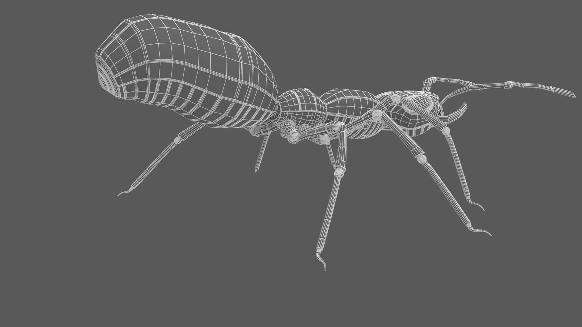 Black robot ant 3D model_14