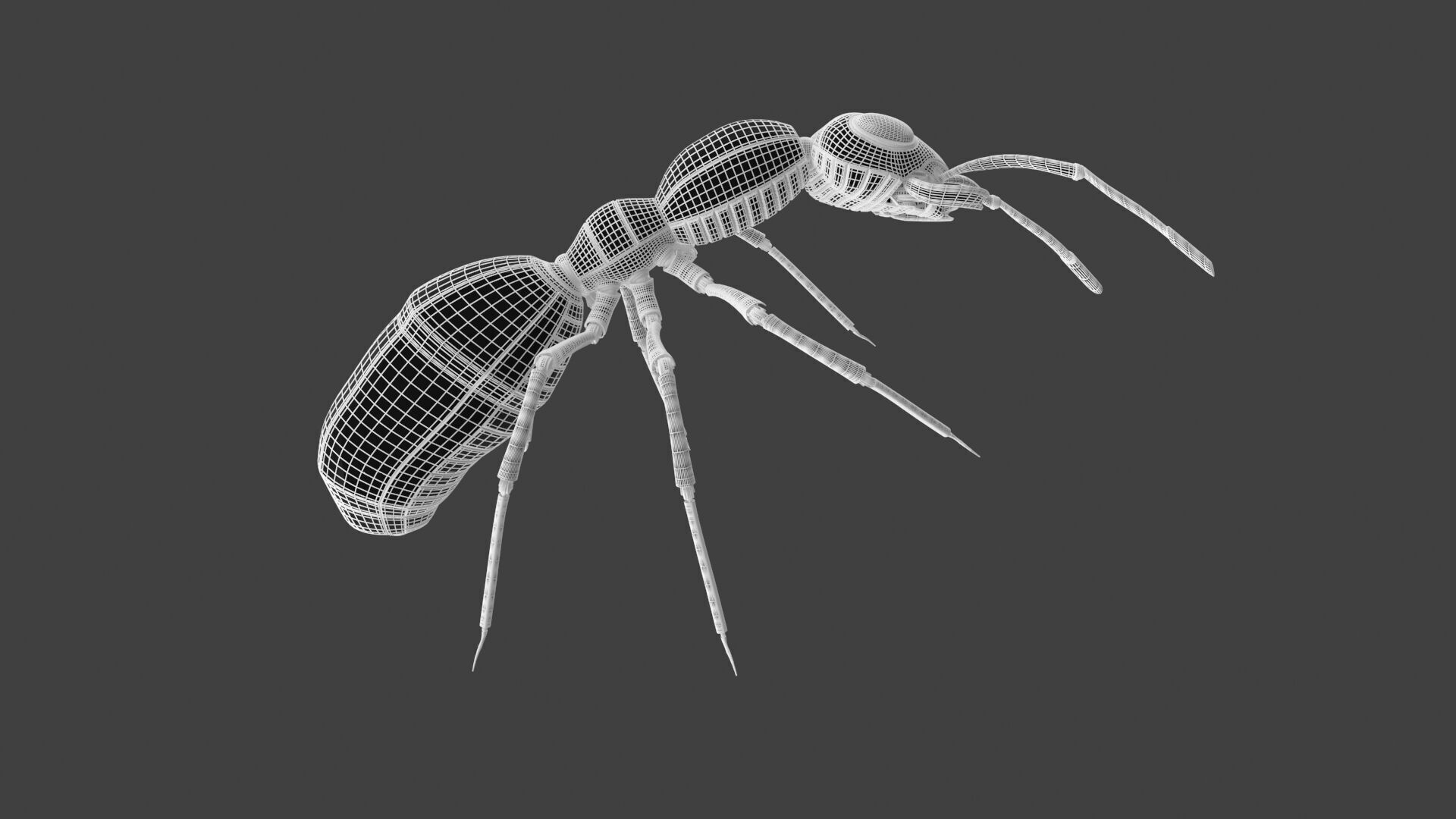 Red robot ant 3D model_13