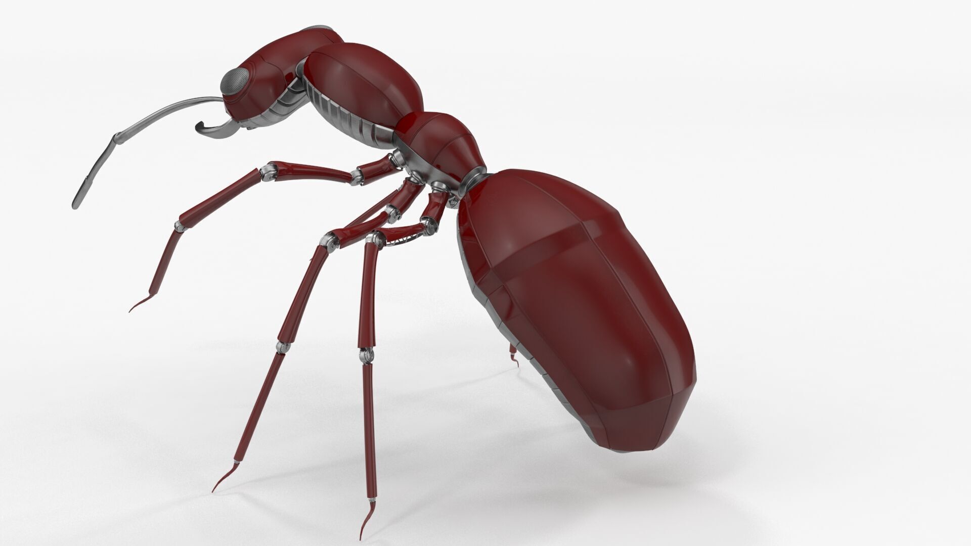 Red robot ant 3D model_5