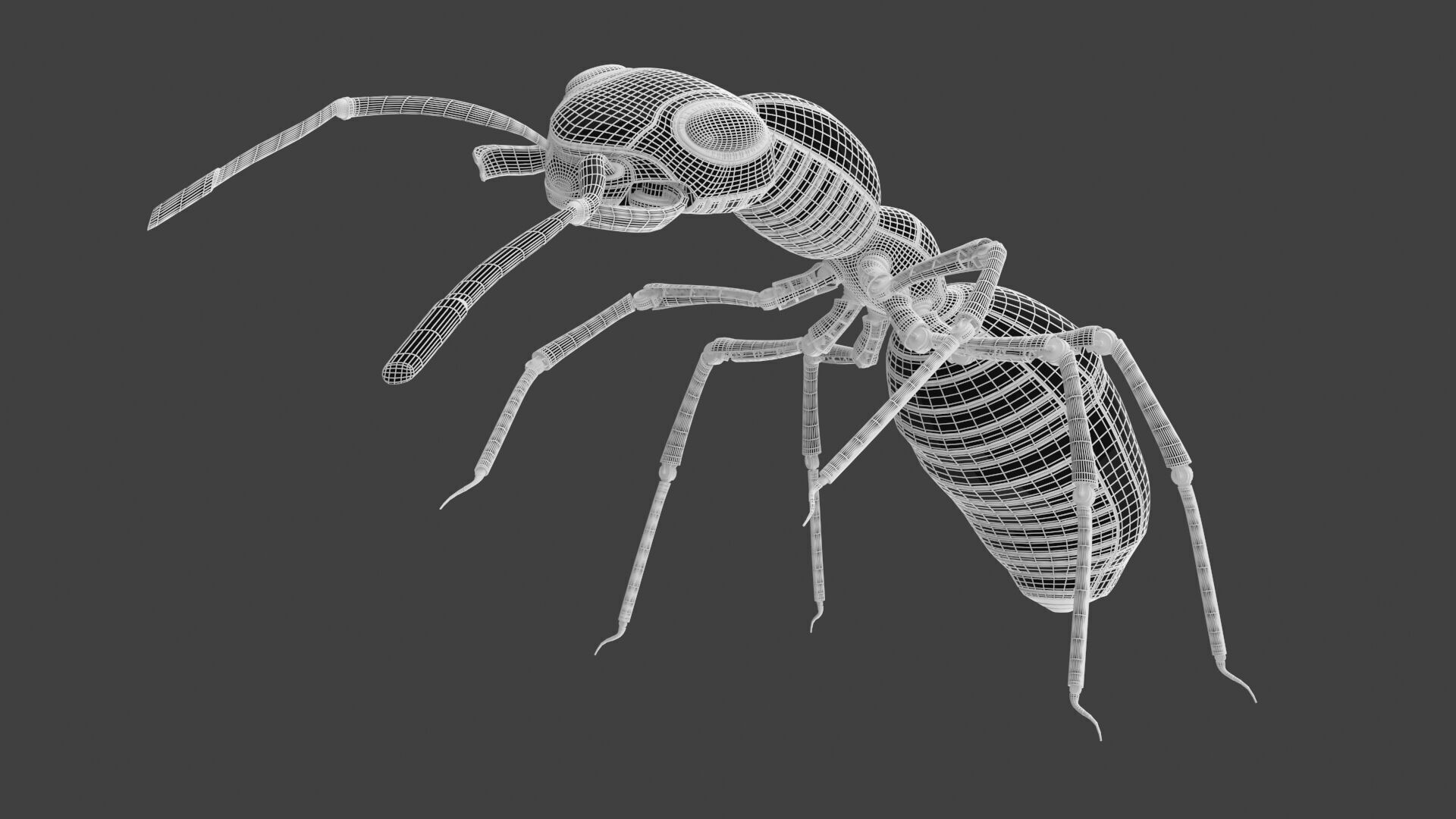 Red robot ant 3D model_11