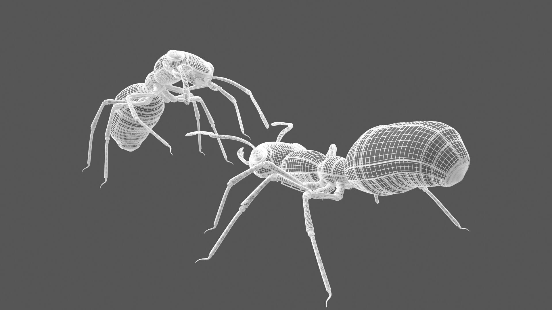 Robot ants 3D model_11