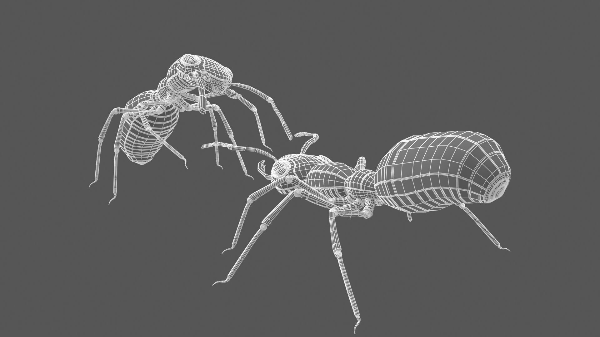 Robot ants 3D model_10