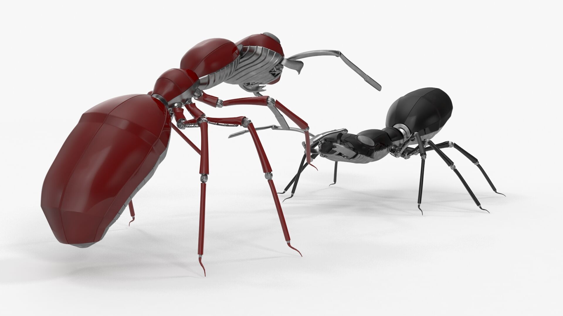 Robot ants 3D model_5