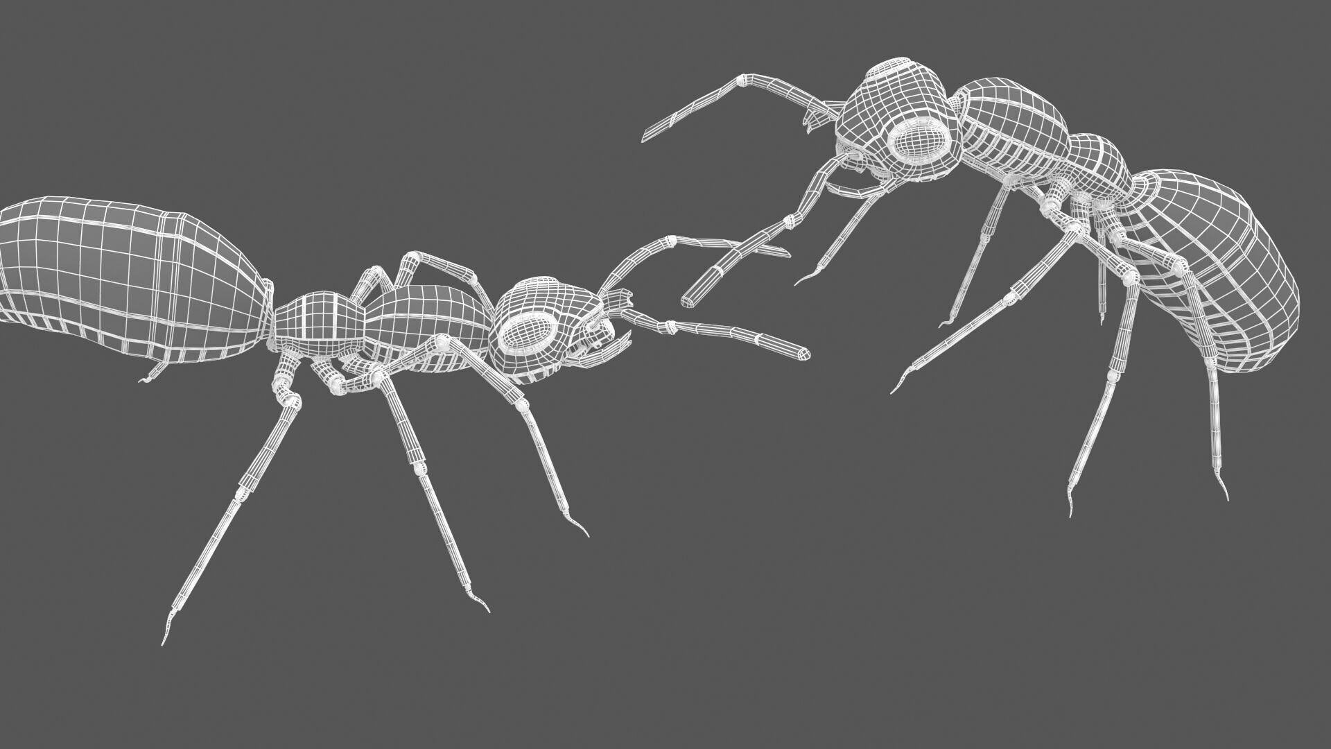 Robot ants 3D model_8