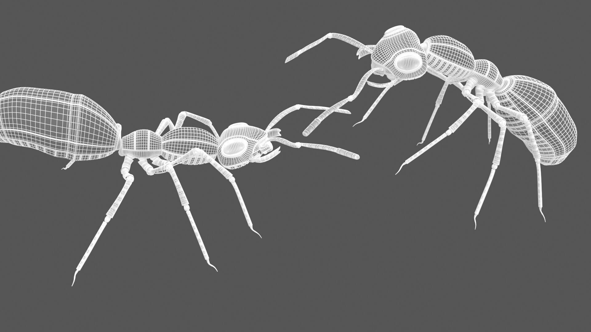 Robot ants 3D model_9