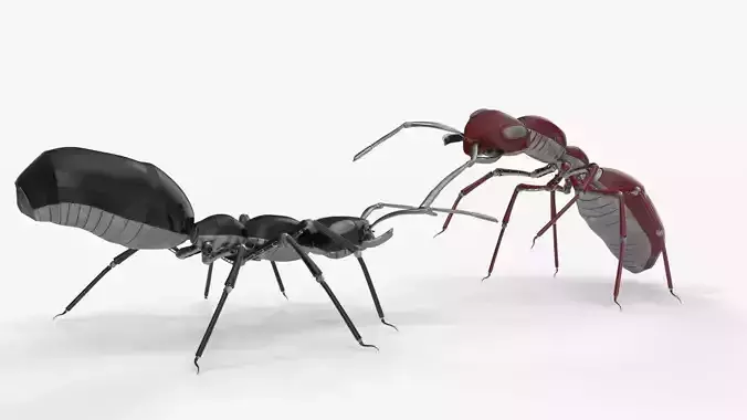 Robot ants 3D model