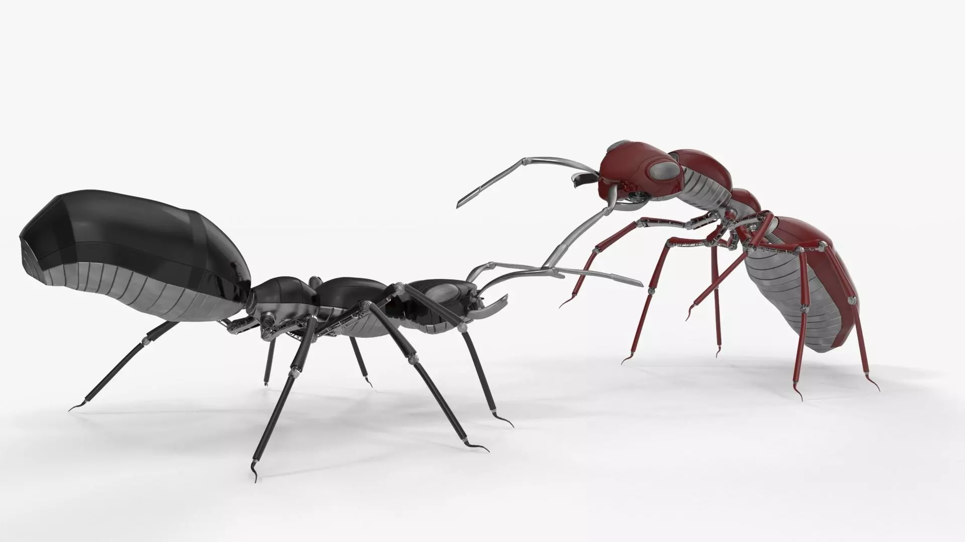 Robot ants 3D model_0