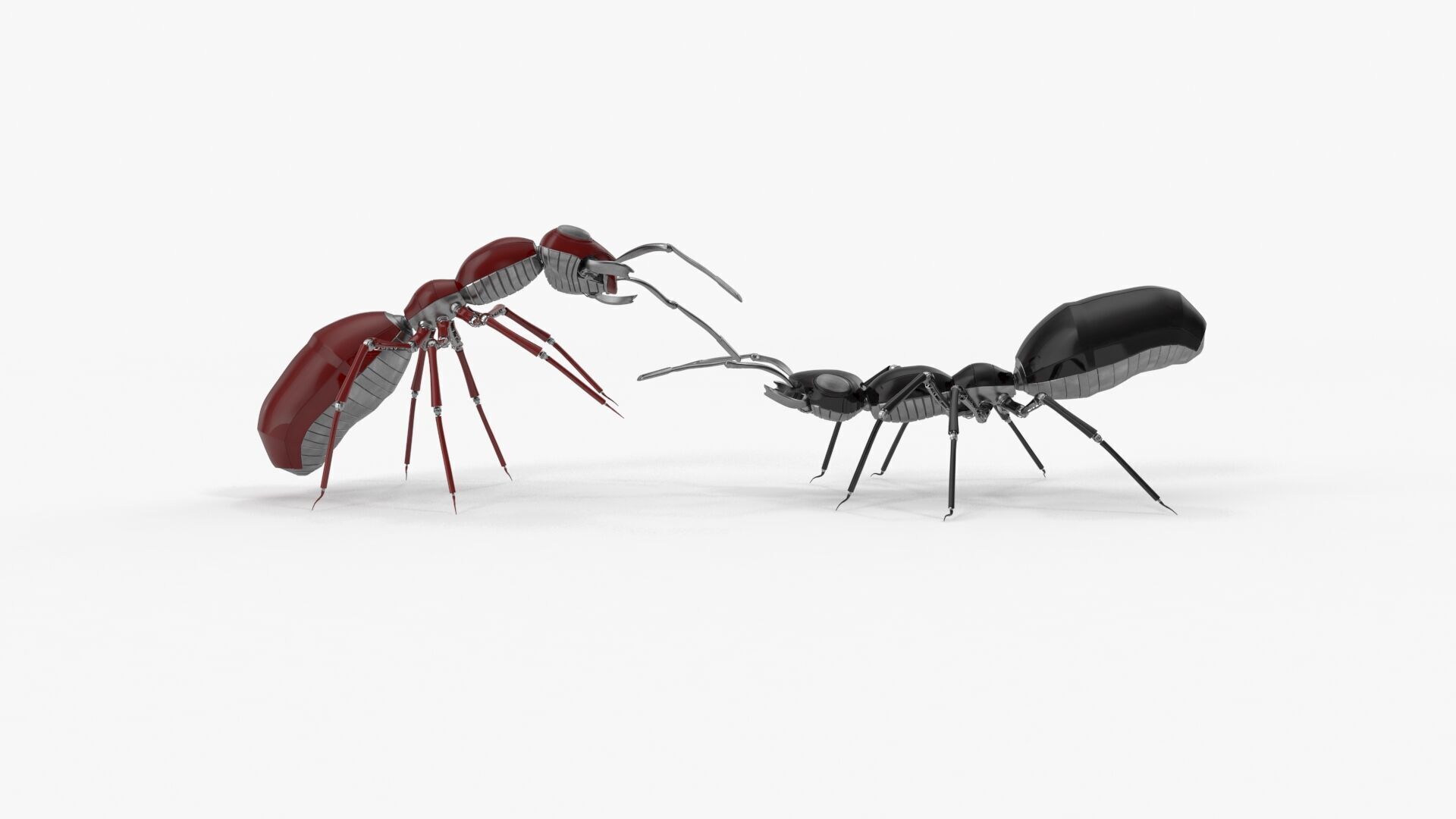 Robot ants 3D model_3
