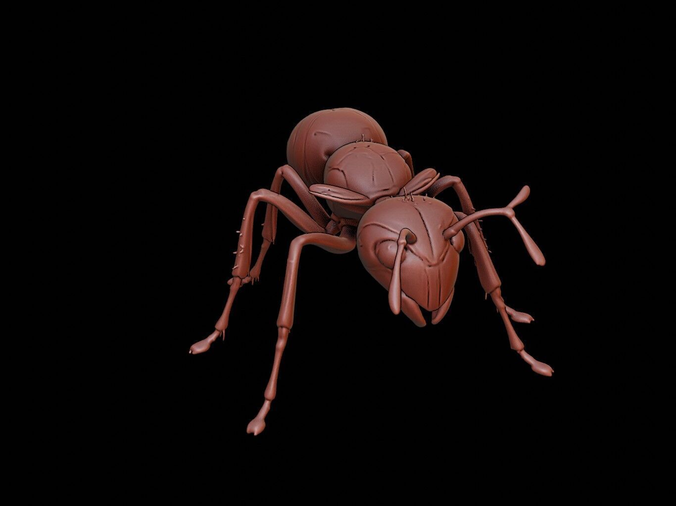 Ant Animal Sculpture 3D print model_1