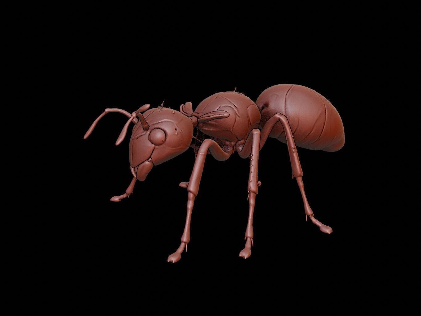 Ant Animal Sculpture 3D print model_2