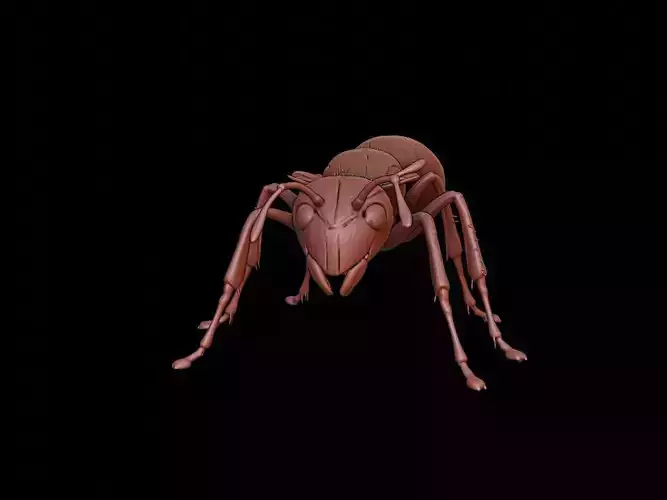 Ant Animal Sculpture