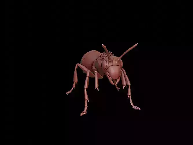 Ant Animal Sculpture