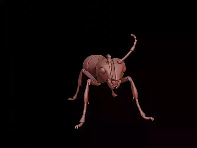 Ant Animal Sculpture