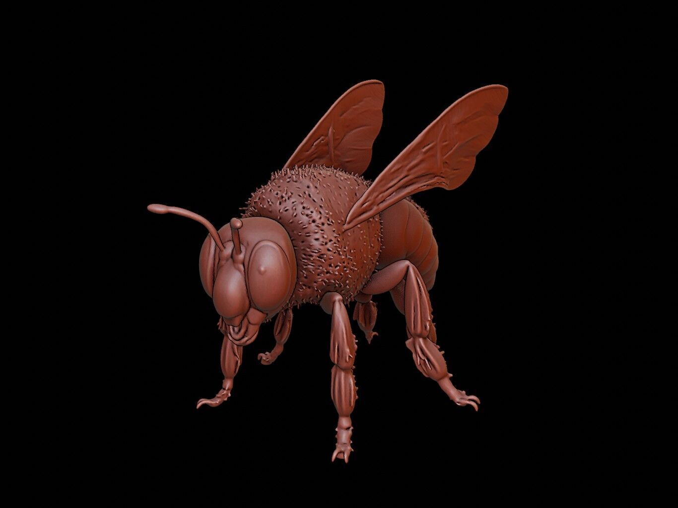 Bee Animal Sculpture 3D print model_2