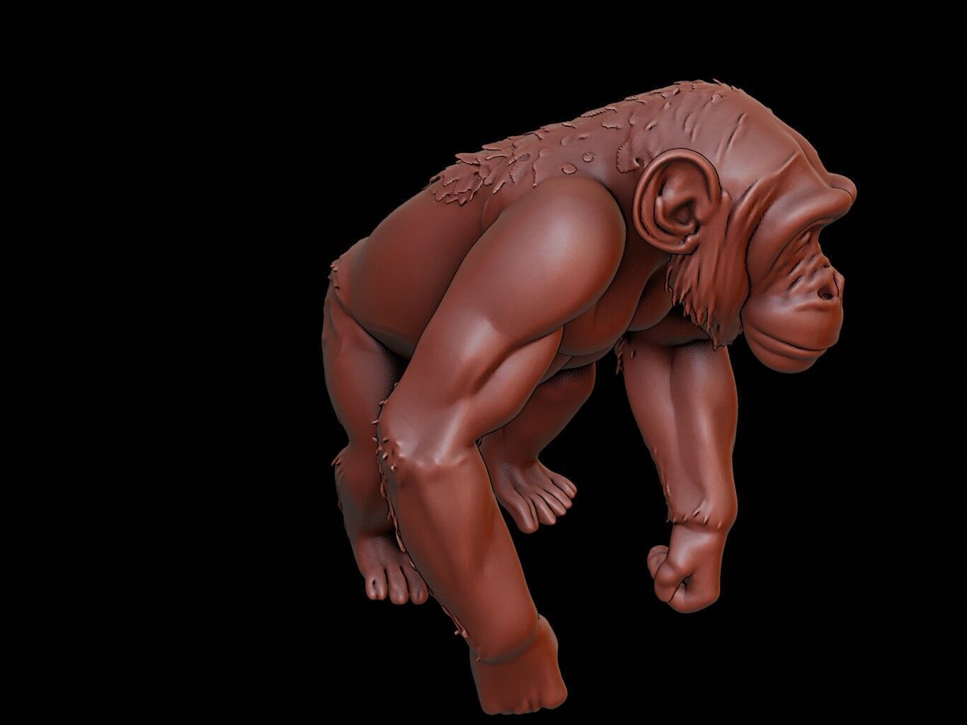 Chimpanzee Animal Sculpture 3D print model_1