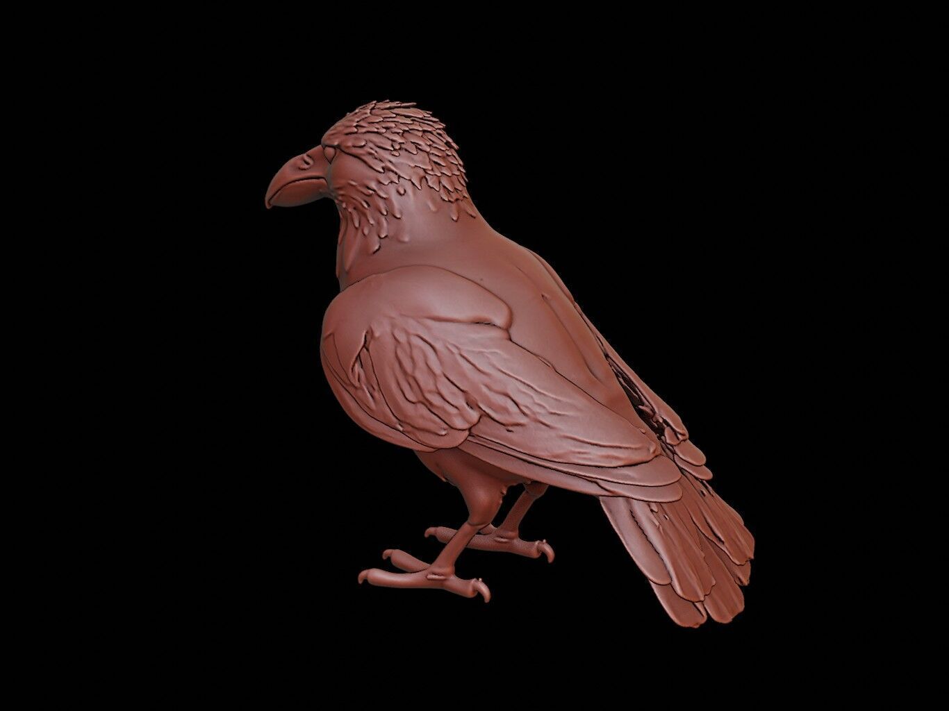 Crow Animal Sculpture 3D print model_2