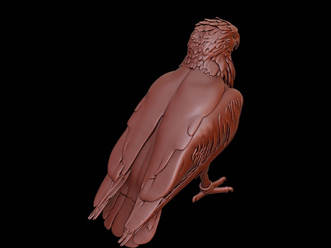 Eagle Animal Sculpture 3D print model_1
