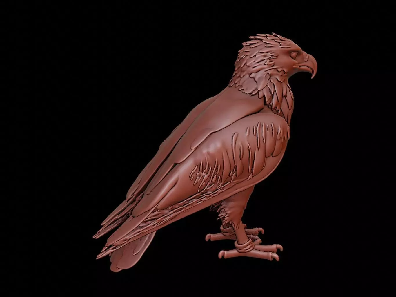 Eagle Animal Sculpture 3D print model_0