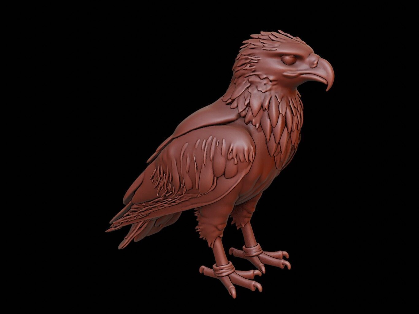 Eagle Animal Sculpture 3D print model_2