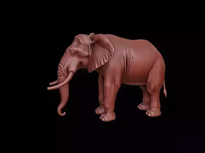 Elephant Animal Sculpture