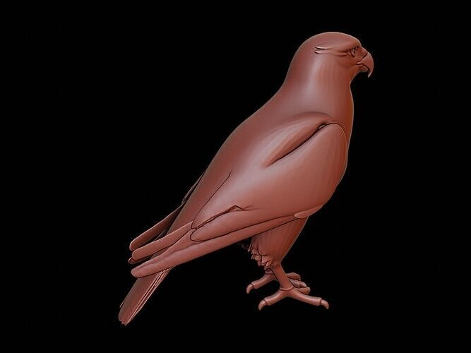 Falcon Animal Sculpture 3D print model