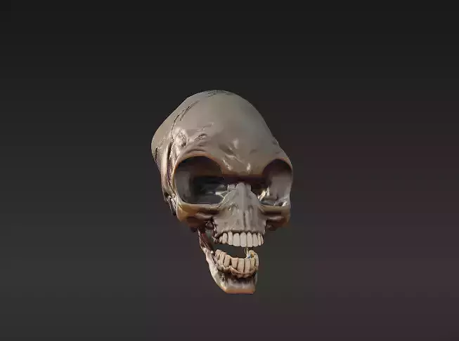 indiana jones crystal skull  3D model