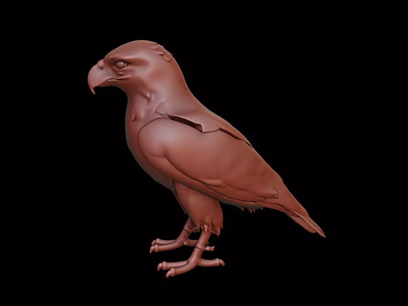 Hawk Animal Sculpture 3D print model_0