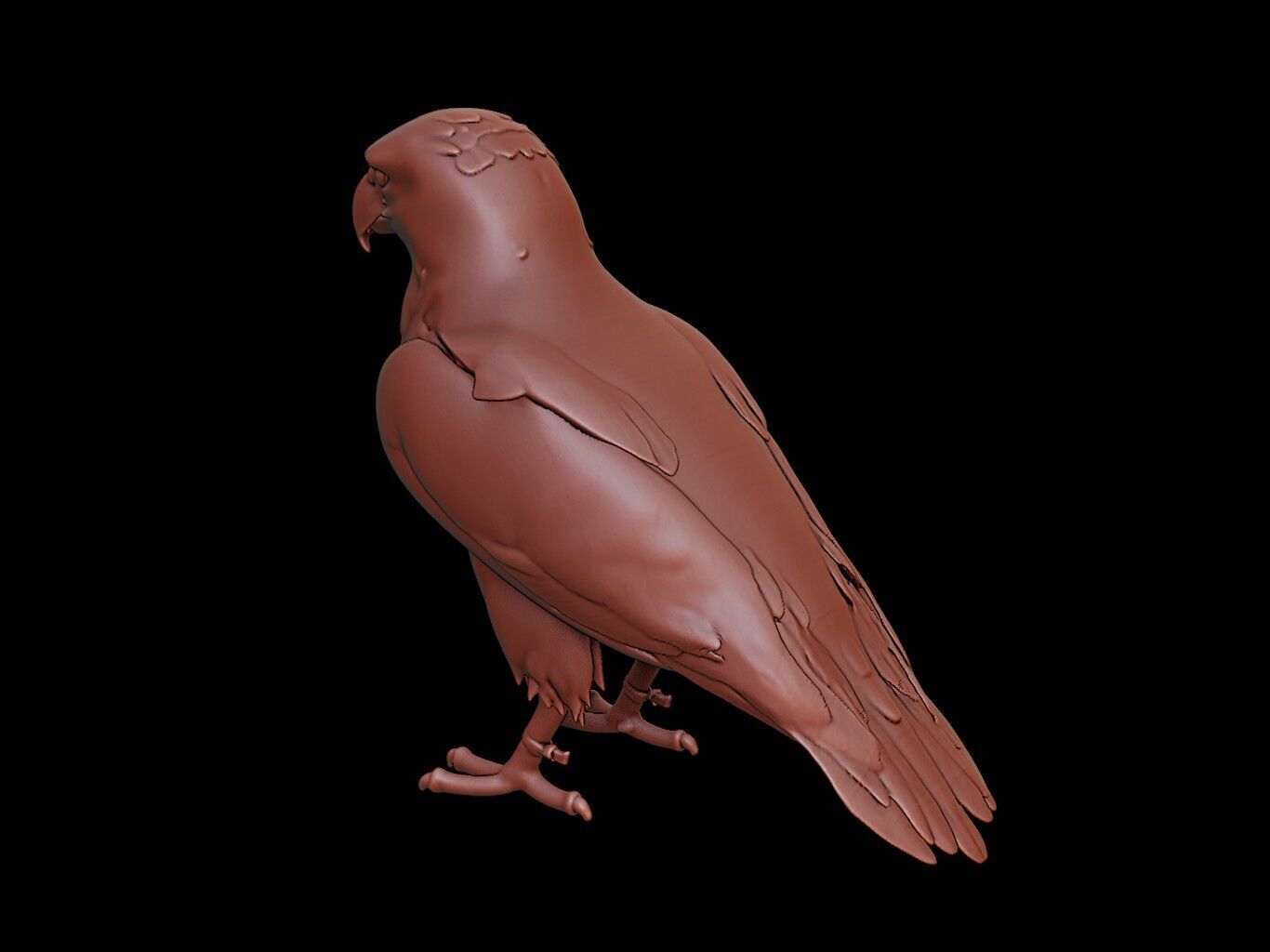 Hawk Animal Sculpture 3D print model_2