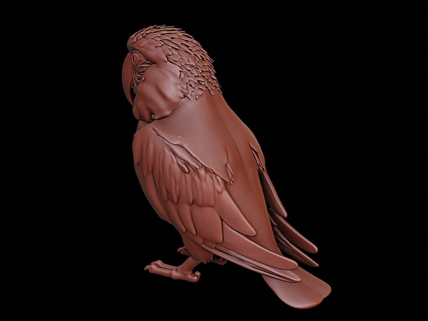Parrot Animal Sculpture 3D print model_2