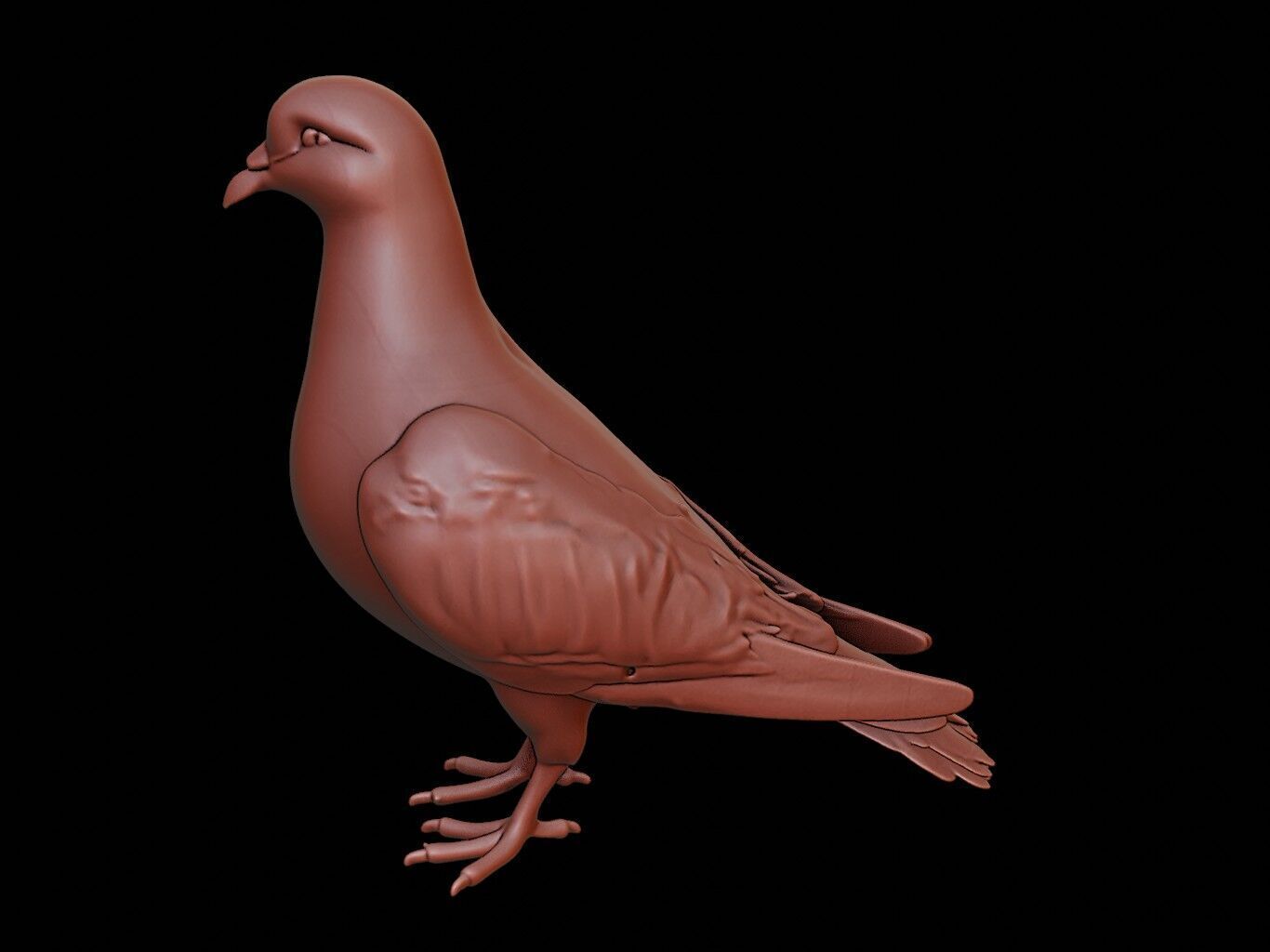 Pigeon Animal Sculpture 3D print model_2